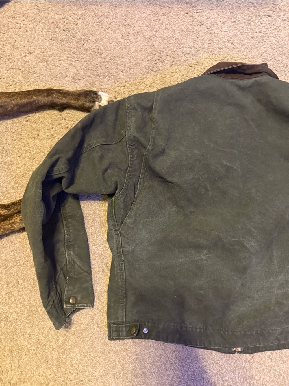 Carhartt Detroit jacket - Picture 16 of 16